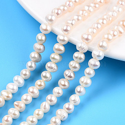 Grade AB Natural Cultured Freshwater Pearl Beads Strands, Potato, Seashell Color, 6.5~7.5x5~6mm, Hole: 0.8mm, about 54~55pcs/strand, 13.39 inch(34cm)(PEAR-N013-05G)