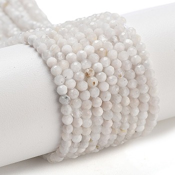 Natural Rainbow Moonstone Beads Strands, Faceted, Round, 2.5mm, Hole: 1mm, about 176pcs/strand, 15.16''(38.5cm)