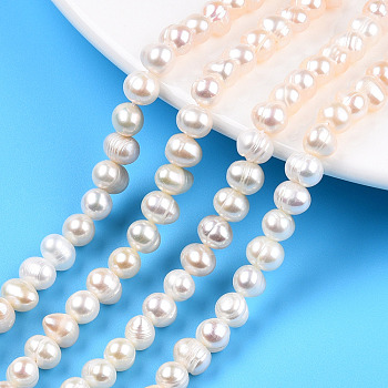 Grade AB Natural Cultured Freshwater Pearl Beads Strands, Potato, Seashell Color, 6.5~7.5x5~6mm, Hole: 0.8mm, about 54~55pcs/strand, 13.39 inch(34cm)