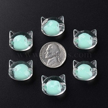Transparent Acrylic Beads(MACR-S373-115-B03)-4
