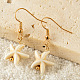 Alloy Natural Shell Dangle Earrings(FS-WG3D07F-01)-1