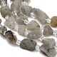 Natural Labradorite Beads Strands(GG-CBA0B77-A20-02)-3