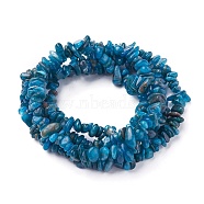 Natural Apatite Beads Strands, Chip, 4~13x3~12x1~6mm, Hole: 1mm, about 33 inch~34.2 inch(84~87cm)(G-P427-02)