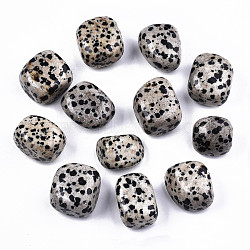 Natural Dalmatian Jasper Beads, Tumbled Stone, Vase Filler Gems, No Hole/Undrilled, Nuggets, 19~30x18~28x10~24mm  250~300g/bag(G-N332-012)