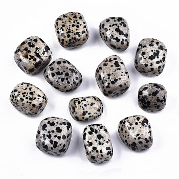 Natural Dalmatian Jasper Beads, Healing Stones, for Energy Balancing Meditation Therapy, Tumbled Stone, Vase Filler Gems, No Hole/Undrilled, Nuggets, 19~30x18~28x10~24mm  250~300g/bag