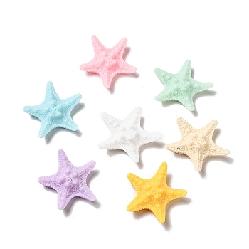 Sea Animal Opaque Resin Cabochons, Starfish, Mixed Color, 37x38x9mm