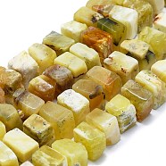 Natural Yellow Opal Beads Strands, Cube, 10~12x10~12x6~9mm, Hole: 1mm, about 47pcs/strand, 15.55''(39.5cm)(G-K245-F04-04)