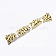 Round Purl Nylon Thread Cord, with PVC Tube inside, Metallic Cord, Gold, 455~465x5mm(RCOR-R002-140)