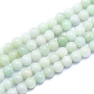 Natural Myanmar Jade/Burmese Jade Beads Strands, Round, 8~8.5mm, Hole: 0.8mm, about 46pcs/Strand, 15.08 inch(38.3cm)(G-K310-C05-8mm)