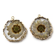 Inner Dried Flower Resin Pendants, Flat Round Charms with Light Gold Plated Brass Edge and Iron Loops, Tan, 34~36x30~31.5x4.5~5.5mm, Hole: 2mm(RESI-P028-02KCG-05)