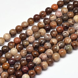 Natural Petrified Wood Round Bead Strands, 4mm, Hole: 0.6mm, about 90~93pcs/strand, 15 inch(G-F266-08-4mm)