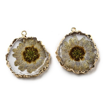 Inner Dried Flower Resin Pendants, Flat Round Charms with Light Gold Plated Brass Edge and Iron Loops, Tan, 34~36x30~31.5x4.5~5.5mm, Hole: 2mm