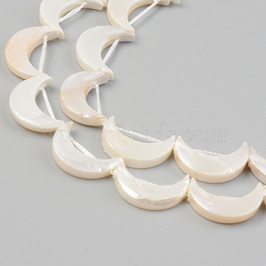 Electroplate Natural Freshwater Shell Beads Strands(SHEL-T017-16D)-3