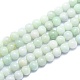 Natural Myanmar Jade/Burmese Jade Beads Strands(G-K310-C05-8mm)-1