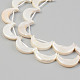 Electroplate Natural Freshwater Shell Beads Strands(SHEL-T017-16D)-3