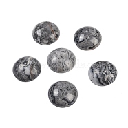 Natural Map Stone Cabochons, Half Round, 18x6~8mm(G-T020-18mm-30)