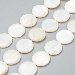 Natural Freshwater Shell Beads, Flat Round, 20x3.5~4.5mm, Hole: 0.5mm, about 20pcs/strand, 15.94 inch(40.5cm)(BSHE-I011-01A-02)