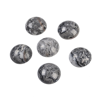 Natural Map Stone Cabochons, Half Round, 18x6~8mm