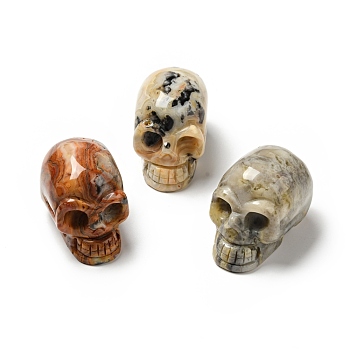 Halloween Natural Crazy Agate Display Decorations, Home Decorations, Skull, 35~37x30~31x48~50.5mm