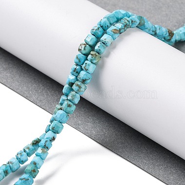 Natural Howlite Beads Strands(G-H025-04B)-2