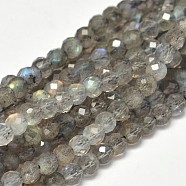 Faceted Round Natural Labradorite Bead Strands, 4mm, Hole: 0.5mm, about 98pcs/strand, 15.5 inch(G-F289-09)