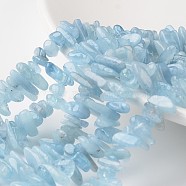Grade A+ Nuggets Natural Aquamarine Bead Strands, 14~45x5~10x5~10mm, Hole: 1mm, about 43~90pcs/strand, 14.9 inch~15.7 inch(G-M342-09)