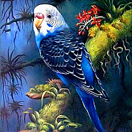 DIY Birds Theme Diamond Painting Kits, Including Canvas, Resin Rhinestones, Diamond Sticky Pen, Tray Plate and Glue Clay, Blue, 300x300mm(DIAM-PW0004-054E)