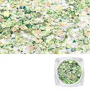 Nail Art Glitter Sequins, Manicure Decorations, DIY Sparkly Paillette Tips Nail, Light Green(AJEW-Q033-003B)