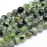 Natural Prehnite Beads Strands, Round, 8mm, Hole: 1mm, about 49pcs/strand, 15.5 inch(39.5cm)(G-K224-03-8mm)