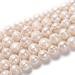 Natural Cultured Freshwater Pearl Beads Strands, Potato, Bisque, 11.5~13x12~14mm, Hole: 0.6mm, about 30pcs/strand, 14.17 inch(36cm)(PEAR-L033-93)