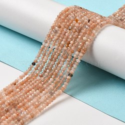 Natural Multi-Moonstone Beads Strands, Faceted, Rondelle, 3x2mm, Hole: 0.6mm, about 168~193pcs/strand, 14.96''~15.35''(38~39cm)(G-M426-A02-01)