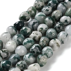 Natural Tree Agate Beads Strands, Nuggets, Tumbled Stone, 8~9.5x7~8.5x7~8.5mm, Hole: 1mm, about 46pcs/strand, 15.43''(39.2cm)(G-NH0035-01)