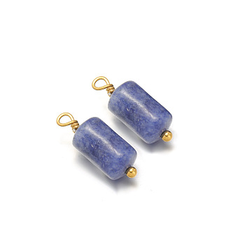 Natural Sodalite Pendants, with Stainless Steel Finding, Column, 15x6mm