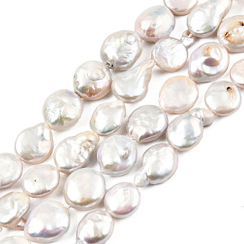 Natural Keshi Pearl Beads Strands, Cultured Freshwater Pearl, Flat Round, Gainsboro, 11~12.5x4~7mm, Hole: 0.8mm, about 30~33pcs/strand, 15.28 inch~15.67 inch(38.8cm~39.8cm)