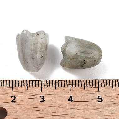 Natural Labradorite Beads(G-A222-03G)-3