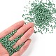 Glass Seed Beads(SEED-A012-3mm-127)-4