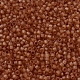 MIYUKI Delica Beads(X-SEED-J020-DB0777)-4