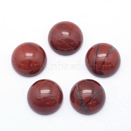 Natural Red Jasper Cabochons, Grade A, Half Round, 6x3~3.5mm(G-P393-R44-6MM)