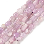 Natural Kunzite Beads Strands, Nuggets, Tumbled Stone, 6.5~14.5x5.5~9.5x4~6.5mm, Hole: 1mm, about 46pcs/strand, 16.22''(41.2cm)(G-A254-B02-01)