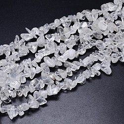 Natural Quartz Crystal Beads Strands, Rock Crystal Beads, Chips, Dyed, 8~20x8~18mm, Hole: 1mm, about 31.5 inch(G-O049-C-61)