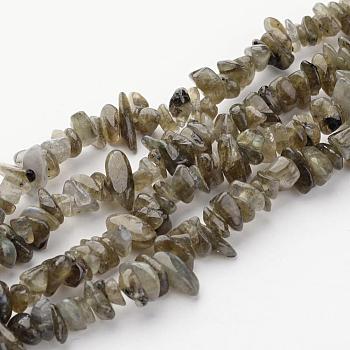 Natural Labradorite Chips Beads Strands, 5~8mm, Hole: 0.3mm, about 32~32.5 inch