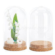 Glass Dome Cover, Decorative Display Case, Cloche Bell Jar Terrarium with Cork Base, for DIY Preserved Flower Gift, Clear, 80x145mm, Inner Diameter: 76mm, 2pcs/box(AJEW-SC0001-62)