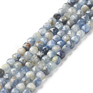Natural Kyanite Beads Strands, Faceted, Cube, 4x4x4mm, Hole: 0.7mm, about 88pcs/strand, 14.96 inch(38cm)(G-G989-B01)