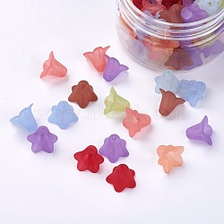 Transparent Acrylic Beads, Frosted, Flower, Mixed Color, 16x12mm, Hole: 1.5mm, about 60~65pcs/box(FACR-JP0001-02)