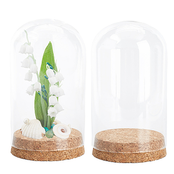 Glass Dome Cover, Decorative Display Case, Cloche Bell Jar Terrarium with Cork Base, for DIY Preserved Flower Gift, Clear, 80x145mm, Inner Diameter: 76mm, 2pcs/box