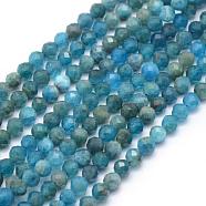 Natural Apatite Beads Strands, Faceted, Round, 2mm, Hole: 0.5mm, about 150pcs/strand, 15.35 inch(39cm)(G-E411-36-2mm)