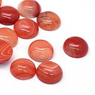 Dyed Natural Striped Agate/Banded Agate Cabochons, Half Round/Dome, Chocolate, 16x6~7mm(G-R348-16mm-03)