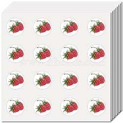 8 Sheets Plastic Waterproof Self-Adhesive Picture Stickers, Round Dot Cartoon Decals for Kid's Art Craft, Raspberry, 150x150mm, Sticker: 25mm(DIY-WH0428-106)