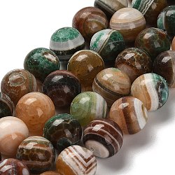 Dyed Natural Agate Beads Strands, Round, Coconut Brown, 14mm, Hole: 1mm, about 27pcs/strand, 14.88~15.35''(37.8~39cm)(G-G175-A14-01)