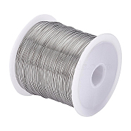1 Roll Tiger Tail Wire, 316 Surgical Stainless Steel, for Jewelry Making, Stainless Steel Color, 26 Gauge,0.4mm,about 124.67 Feet(38m)/roll(TWIR-BC0001-36E)